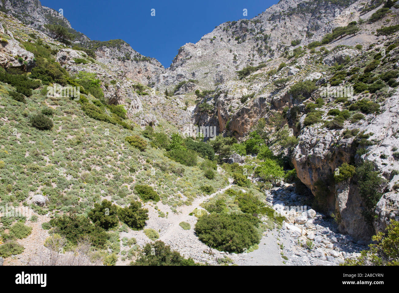 Zaros, Heraklion, Creta, Grecia. Visualizzare l'Rouvas Gorge. Foto Stock