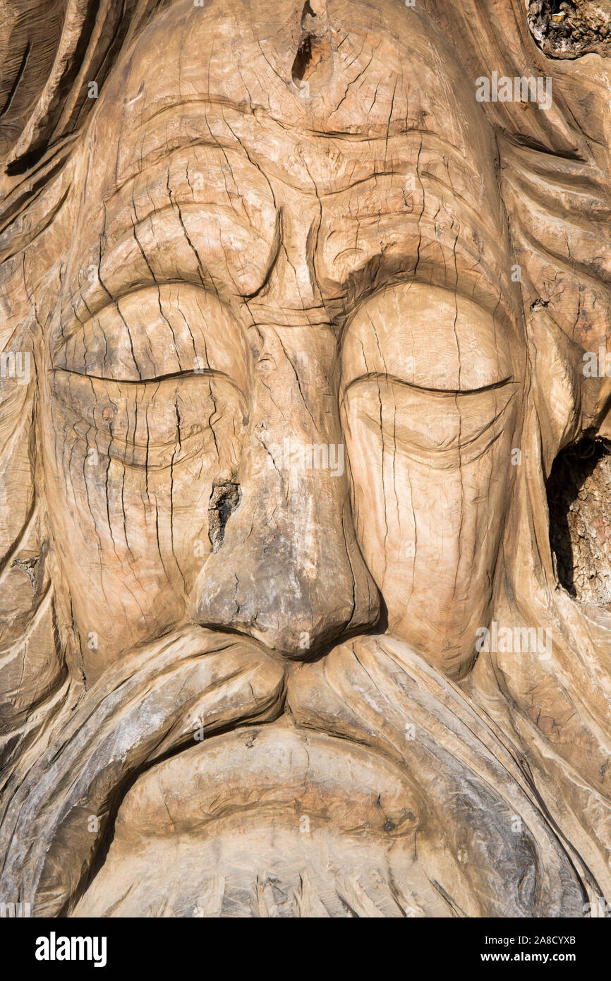 Matala, Heraklion, Creta, Grecia. Antico tronco di albero scolpito nella forma di un volto umano da artista cretese Spyros Stefanakis. Foto Stock
