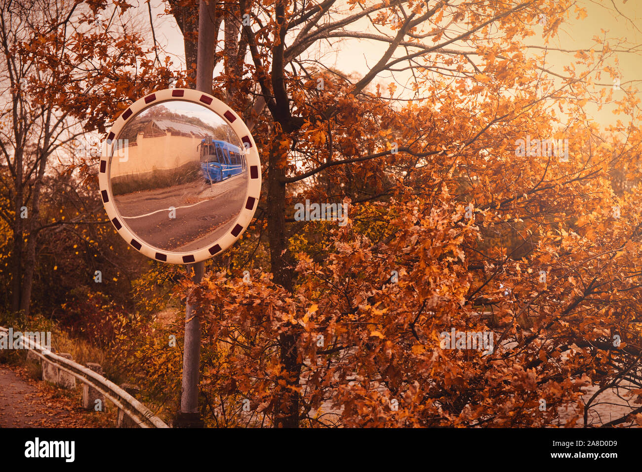 Blu tram di Stoccolma nella circolare convesso blind spot specchio circondato da colorate arancio Foglie di autunno, Djurgarden, Stoccolma, Svezia Foto Stock
