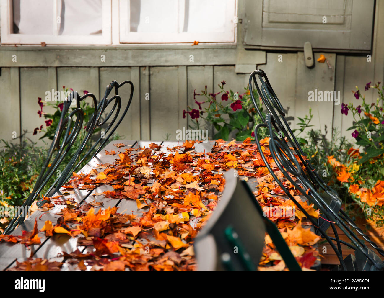 Colori d'autunno cadono le foglie su chiuso caffetteria all'aperto con tavolo, Djurgarden, Stoccolma, Svezia Foto Stock