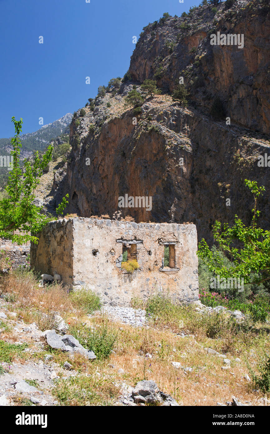 Agia Roumeli, Parco Nazionale Samaria, la Canea, Creta, Grecia. Casa in rovina nella Vecchia Agia Roumeli, gola di Samaria. Foto Stock