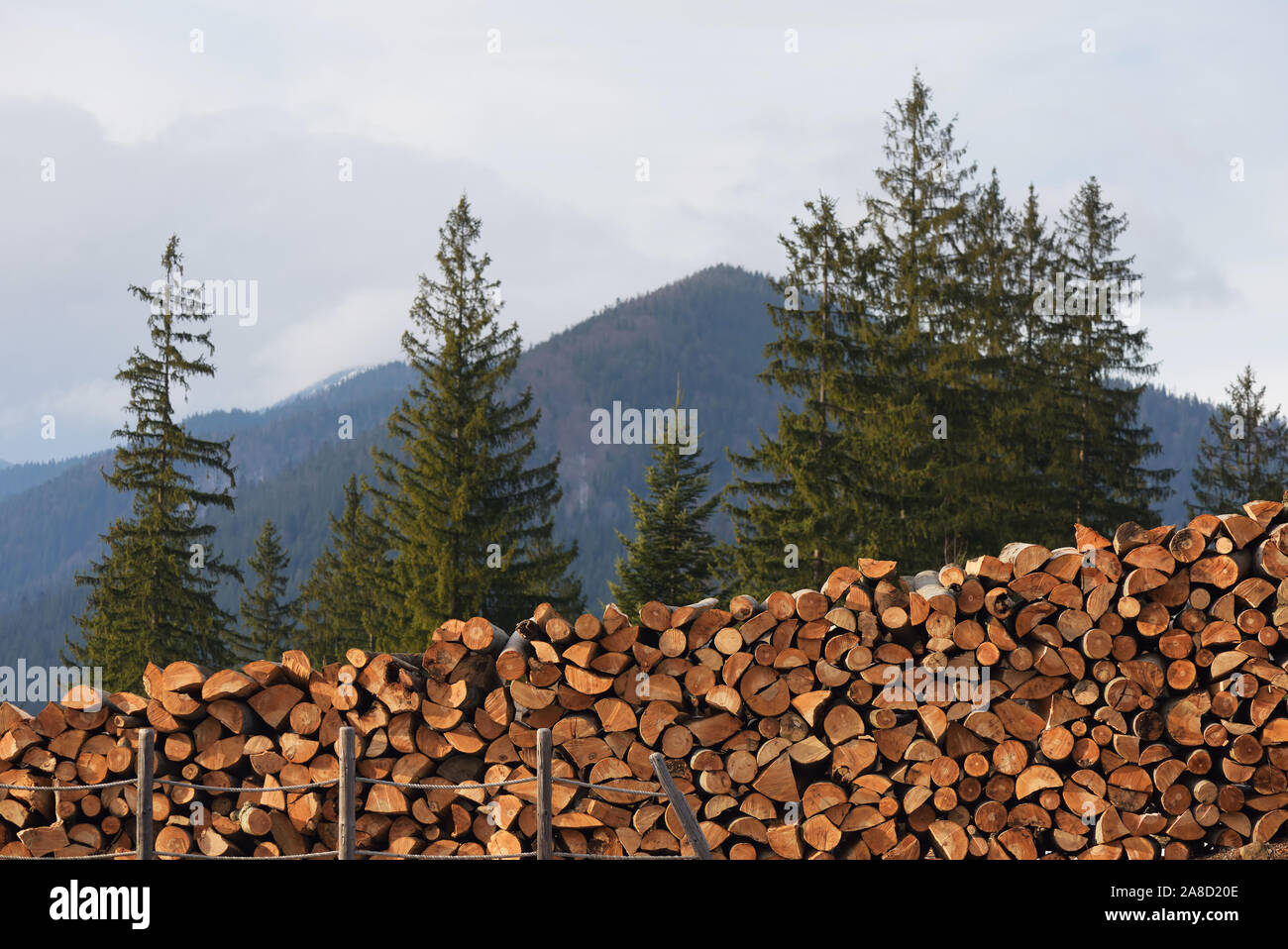 Legno raccolto. Vista rurale in montagna Foto Stock