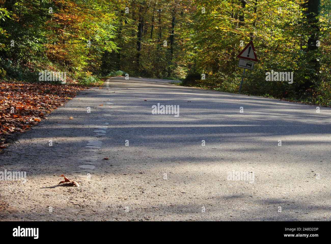 La strada attraverso autunno foresta colorata con segnaletica di pericolo non asfaltata striscia di bordo, la messa a fuoco su oggetti in primo piano Foto Stock