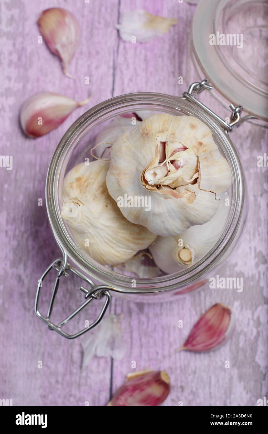 Allium sativum. Lampadine e chiodi di garofano di 'Lautrec Wight' aglio. Regno Unito Foto Stock