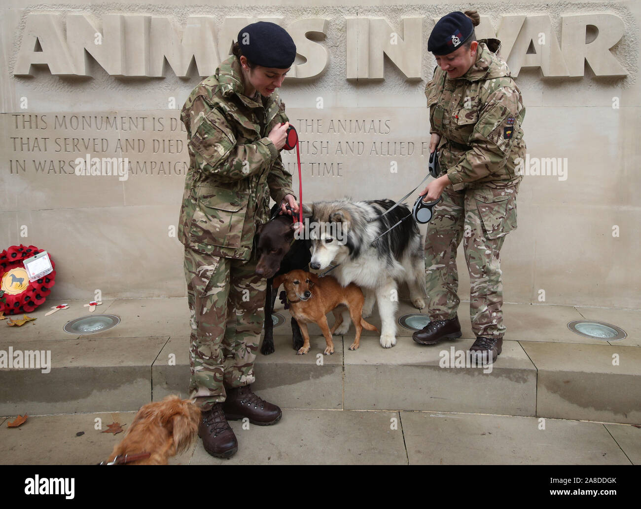 Lt Karen Petit (sinistra) e Sgt Monique Fort del Royal Army Veterinary Corps (RAVC), Knightsbridge caserma, con cani dell'esercito (da sinistra a destra) Marley, poco marrone e Mac, durante un ricordo del servizio dedicato al riconoscimento degli animali in tempo di guerra e di conflitto, a gli animali nel memoriale di guerra su Park Lane a Londra. Foto Stock