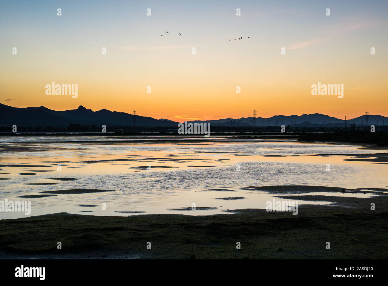 Stagno di cagliari immagini e fotografie stock ad alta risoluzione Alamy