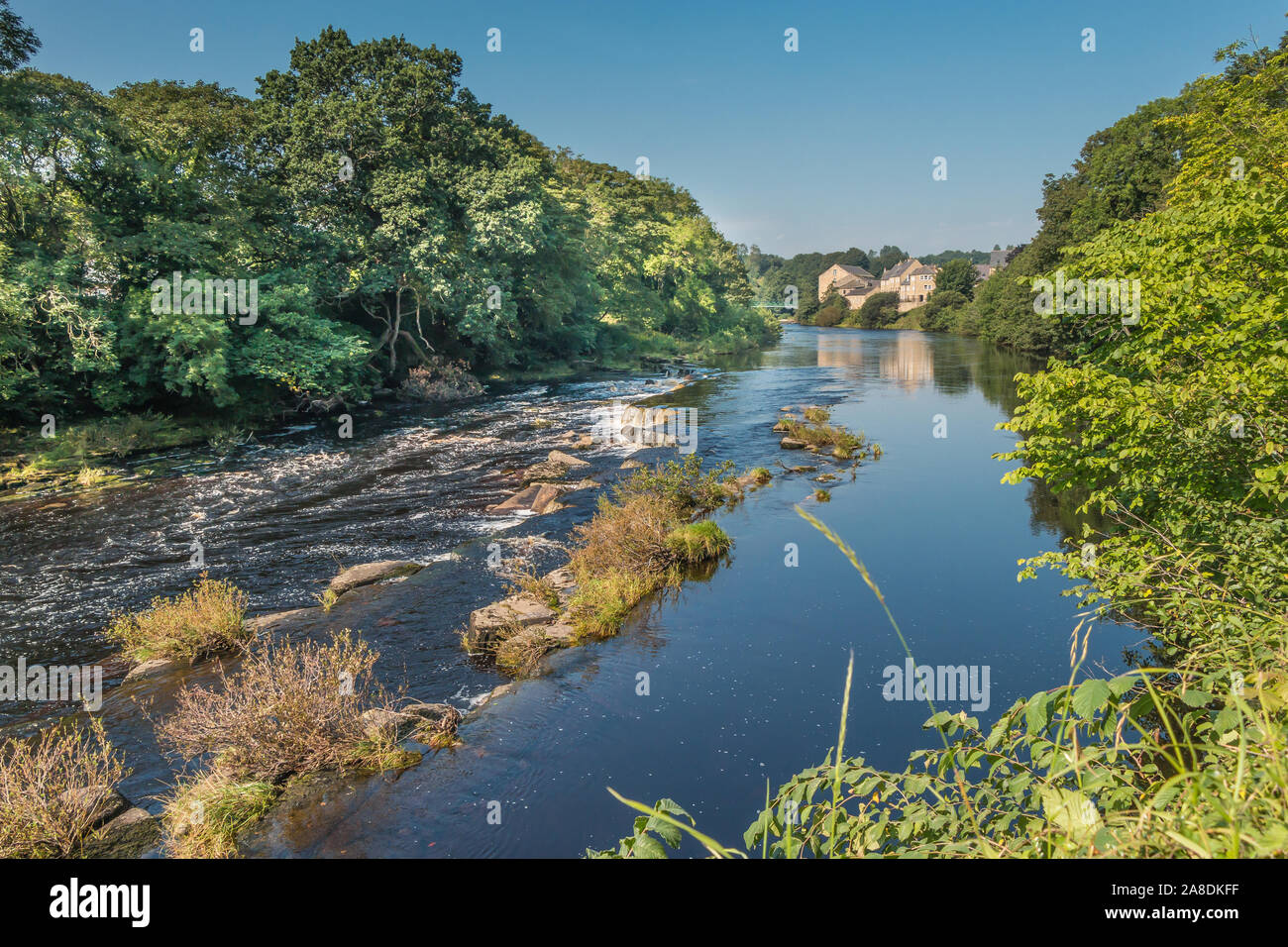 Il Fiume Tees guardando a monte dal Demenses Mulino a Barnard Castle, Teesdale su un bel giorno di estate Foto Stock