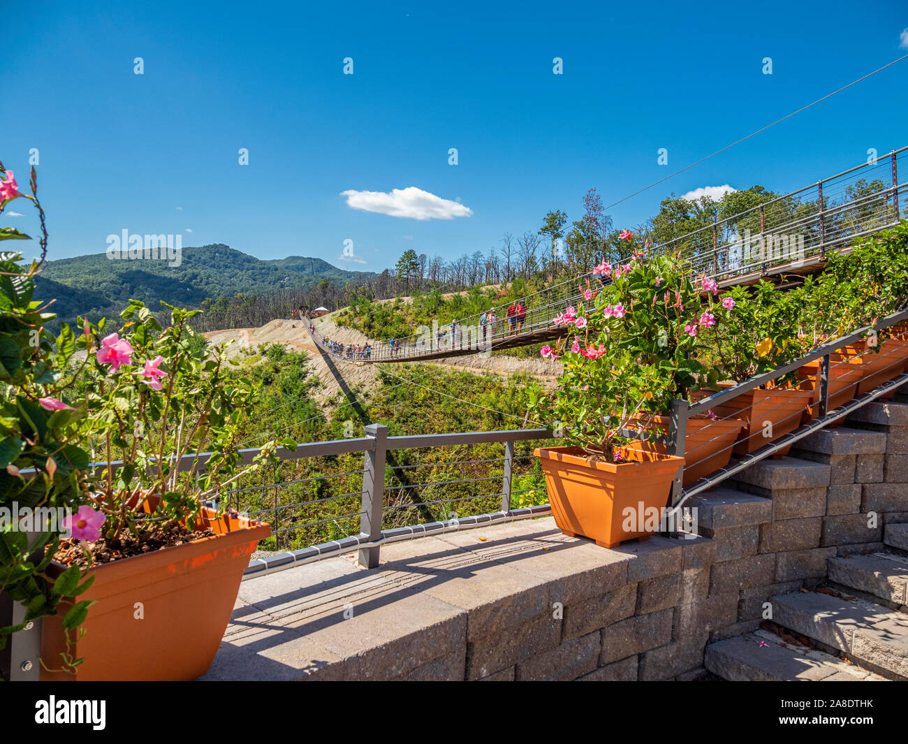 Gatlinburg sospensione pedonale ponte sopraelevato in Great Smoky Mountains resort città di Gatlinburg Tennessee negli Stati Uniti Foto Stock