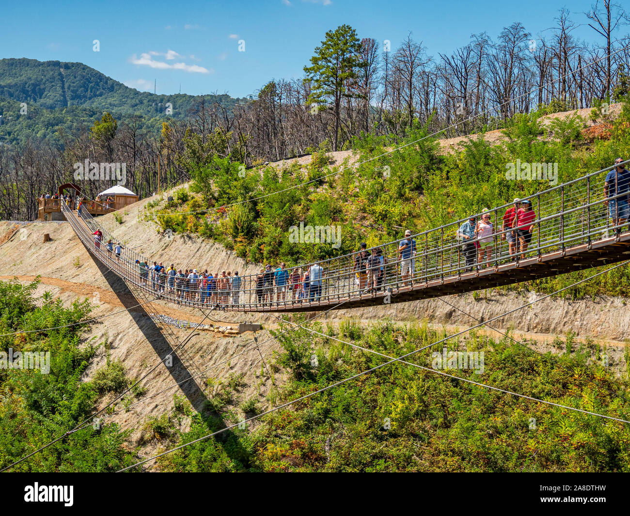 Gatlinburg sospensione pedonale ponte sopraelevato in Great Smoky Mountains resort città di Gatlinburg Tennessee negli Stati Uniti Foto Stock