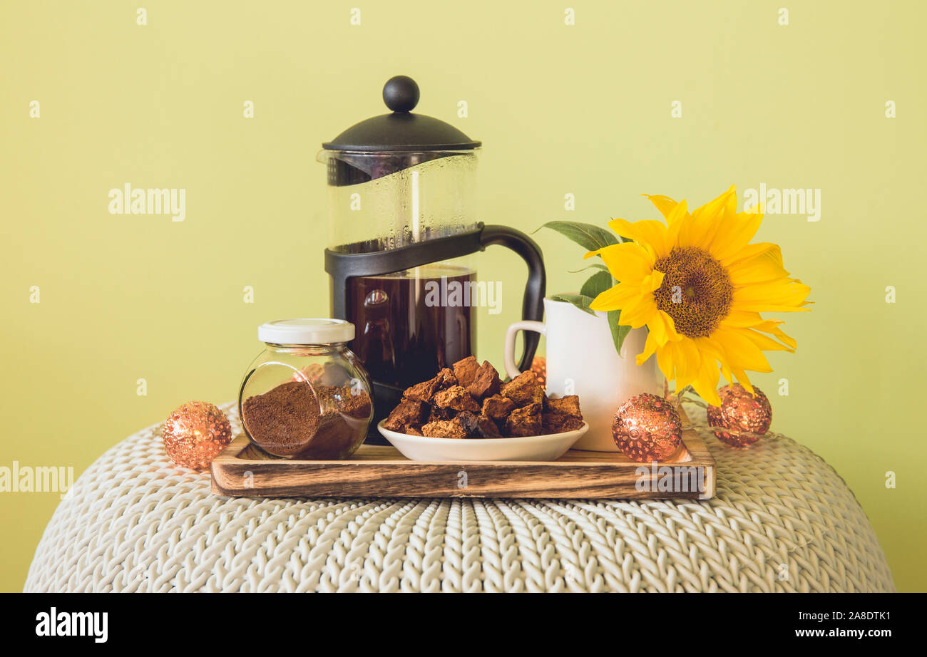 Chaga naturale polvere fungo in vaso e pezzi sulla piastra, Inonotus obliquus per la produzione di caffè salutare. Benefist per la salute di bere chaga infusa coffe Foto Stock