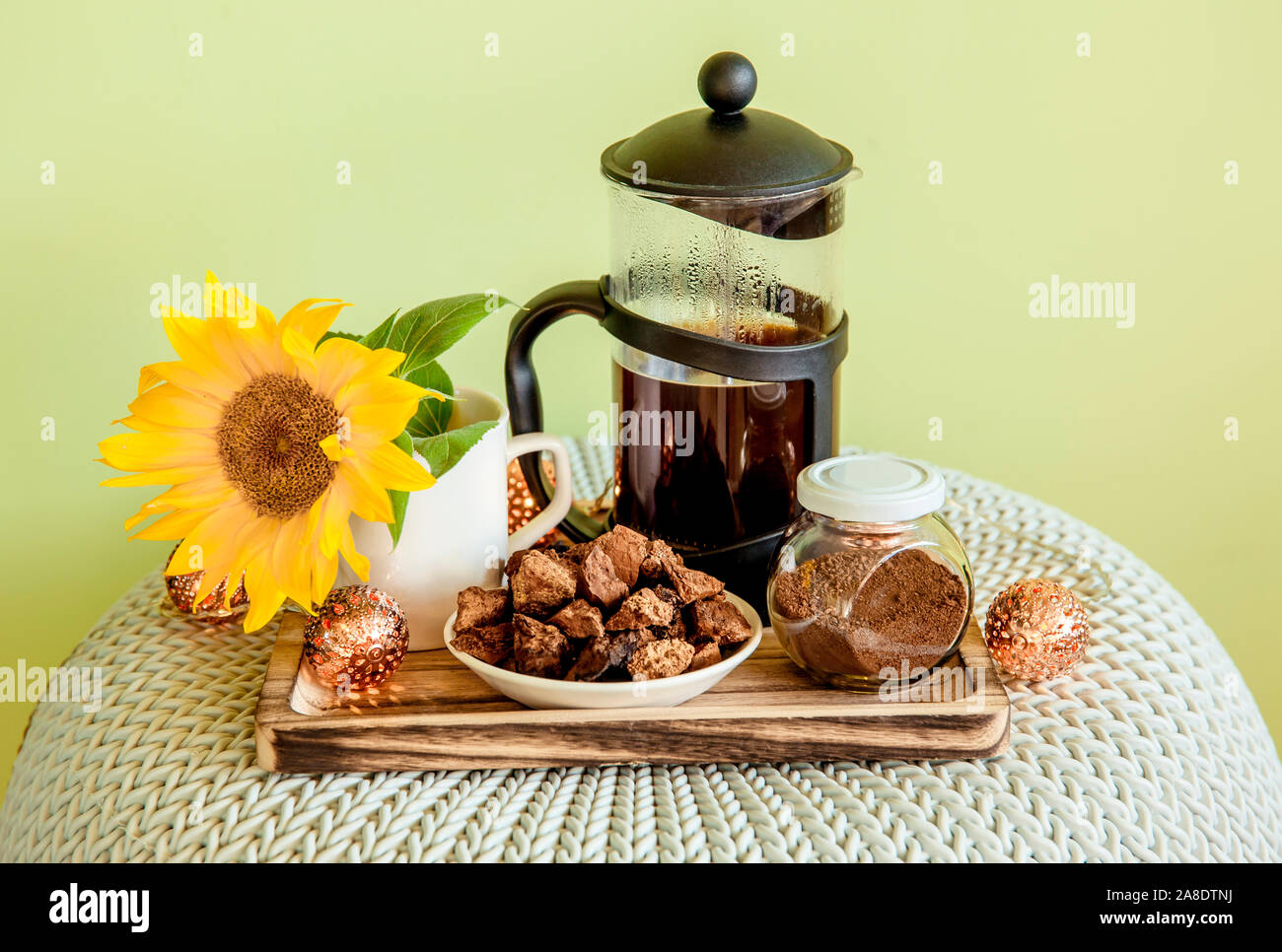 Chaga naturale polvere fungo in vaso e pezzi sulla piastra, Inonotus obliquus per la produzione di caffè salutare. Benefist per la salute di bere chaga infusa coffe Foto Stock