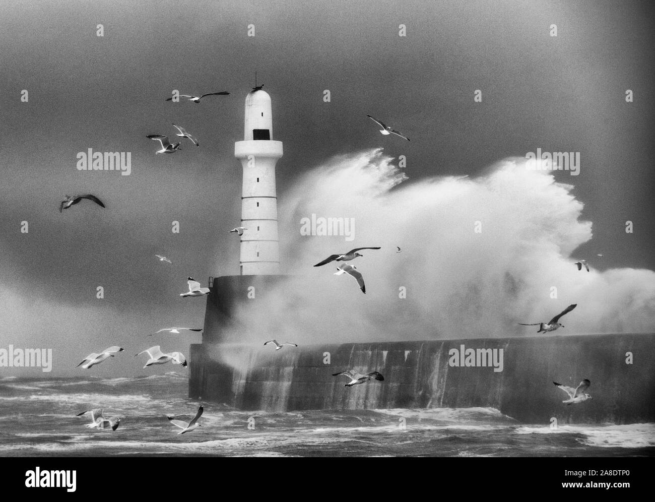 Tempesta di neve, Aberdeen faro Foto Stock