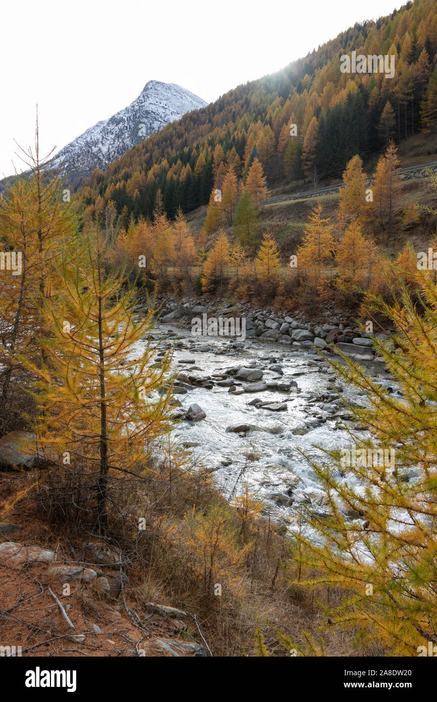 Valsavaranche Valle d'Aosta Valle d'Italia fogliame di autunno i colori dell'autunno Montagne alberi paesaggio di vigneti nel novembre 2019 Alpi destinazione di viaggio Foto Stock