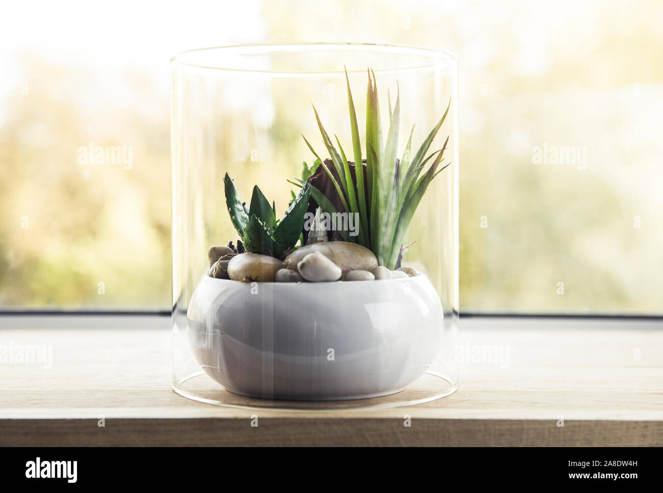 Https://submit.shutterstock.com/catalog manager/images/1514561789 Foto Stock