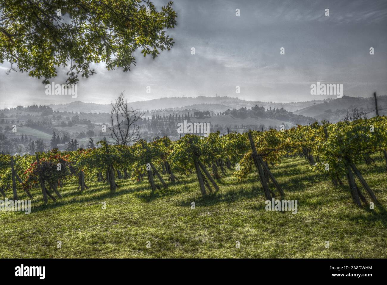 Una rappresentazione pittorica di una giornata autunnale nelle colline. Immagine hdr Foto Stock