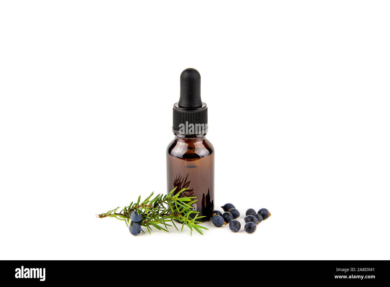 Latino di ginepro Juniperus communis berry olio essenziale in marrone flacone contagocce, ginepro ramo di albero con confier coni e bacche sparse, iso Foto Stock