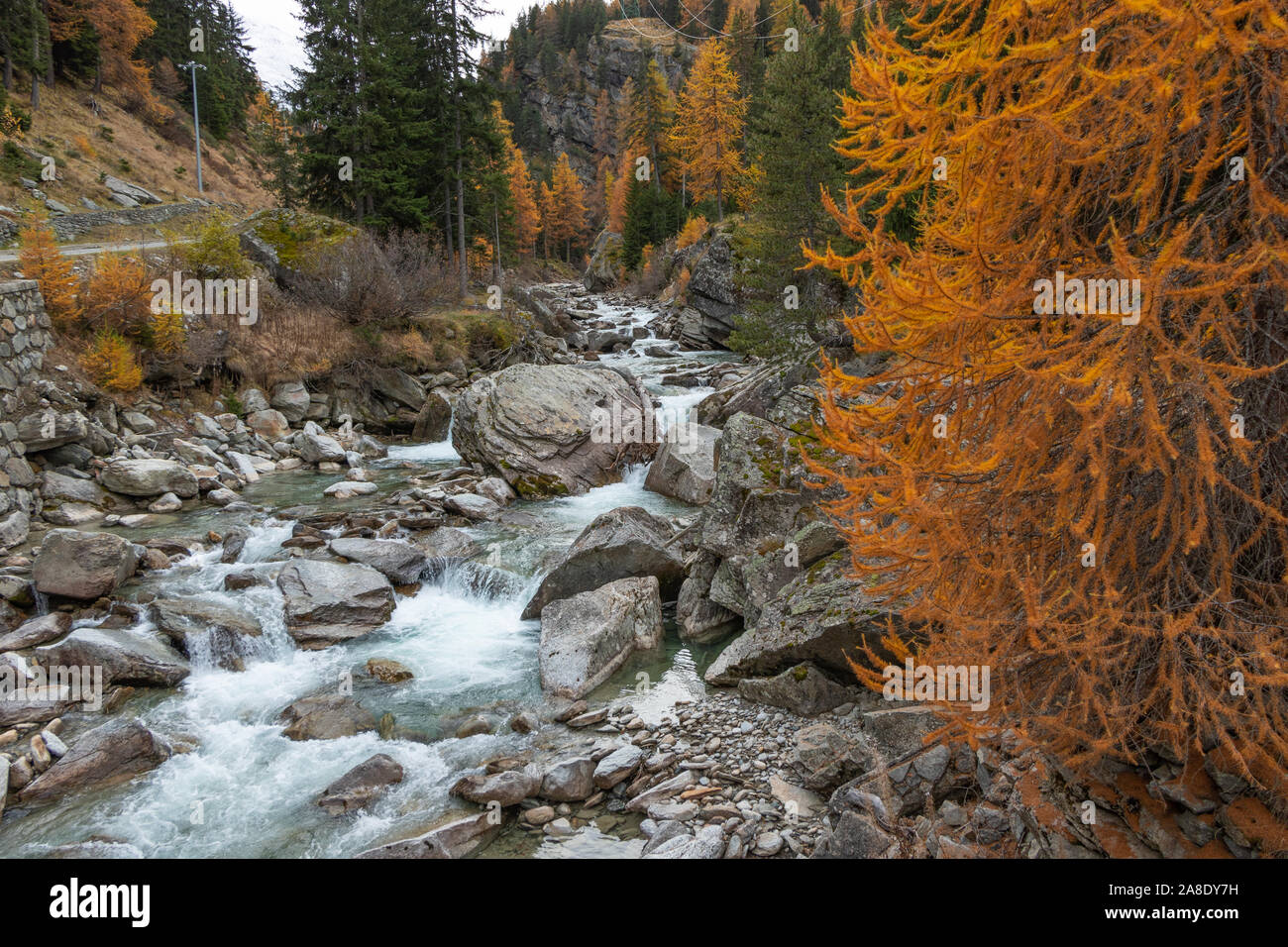 Valsavaranche Valle d'Aosta Valle d'Italia fogliame di autunno i colori dell'autunno Montagne alberi paesaggio di vigneti nel novembre 2019 Alpi destinazione di viaggio Foto Stock