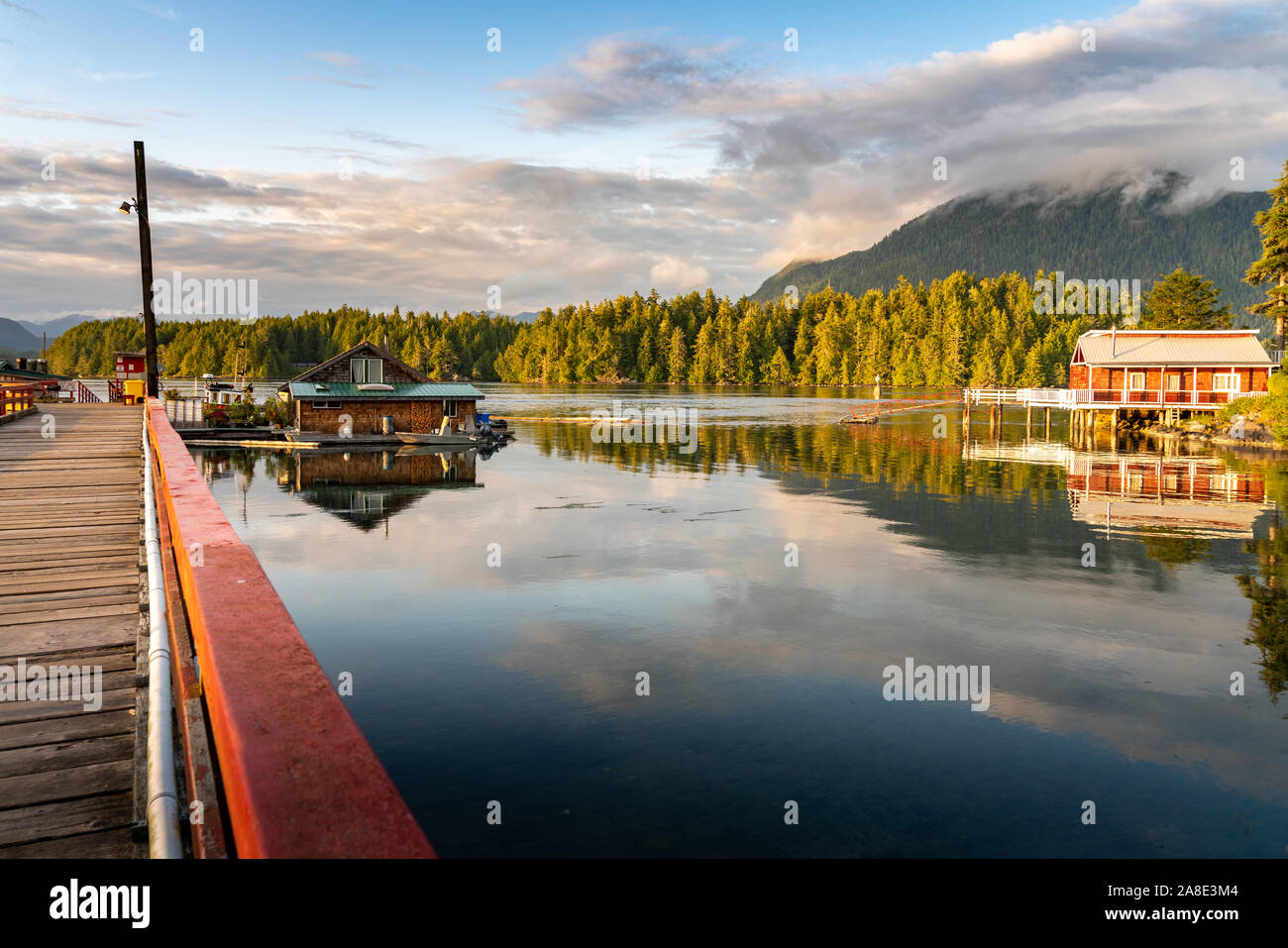 Tofino Harbour, l'isola di Vancouver. La British Columbia, Canada Foto Stock