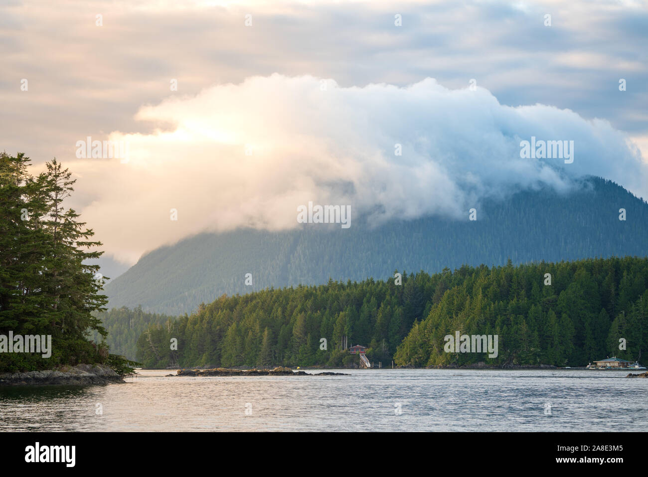 Tofino Harbour, l'isola di Vancouver. La British Columbia, Canada Foto Stock