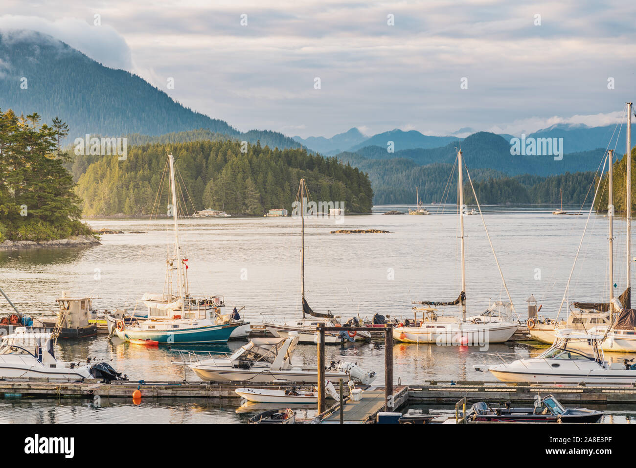 Tofino Harbour, l'isola di Vancouver. La British Columbia, Canada Foto Stock