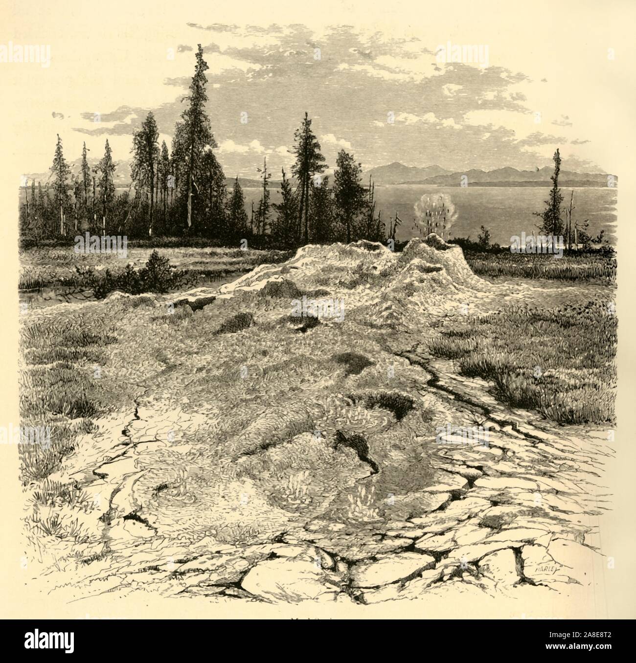'Mud-molle", 1872. Funzione geotermico nel Parco Nazionale di Yellowstone, Wyoming negli Stati Uniti. "Sotto le cascate vi è una vasta area coperta con i depositi che si estendono dal lato sud del monte Washburn attraverso il cerchio di Yellowstone, copre un area di dieci o quindici miglia quadrate. Sul lato sud del monte Washburn vi è piuttosto un notevole gruppo di molle attive...Zolfo, rame, allume e soda, coprire la superficie. Vi è anche la precipitazione intorno ai confini di alcuni del fango-molle una efflorescenza bianco, probabilmente il nitrato di potassio...queste variano in temperatura da novantotto per...on Foto Stock