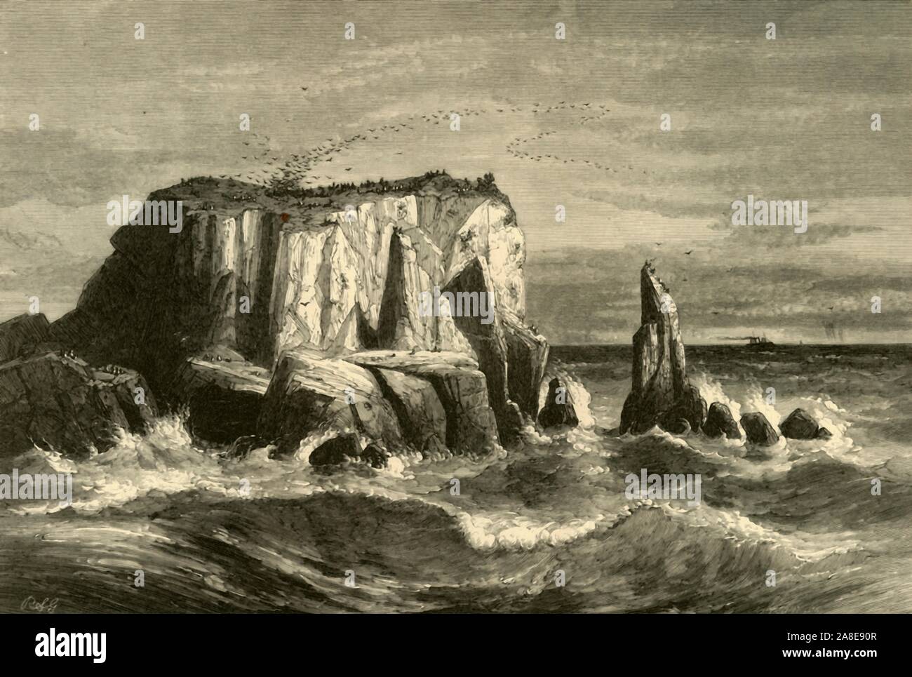 'Coast Scena, Marin County", 1872. Colonia di uccelli marini su di un promontorio roccioso sulla sponda dell'Oceano Pacifico, California, Stati Uniti d'America. " Per gli amanti del paesaggio naturale, questi enormi, roccia isolati hanno un gran fascino, per cui gli uccelli non contribuiscono in alcun modo. I toni di grigio della parte superiore, la fusione nella più profonda marrone con la luce bianca del vertice prodotta dal guano, e gli indirizzi di massima per il giallo della secca Erbe, delizia l'occhio artistico'. Dal pittoresco America; o, la terra in cui viviamo, una delimitazione dalla penna e matita di montagne, fiumi, laghi...con illustrazioni su S Foto Stock