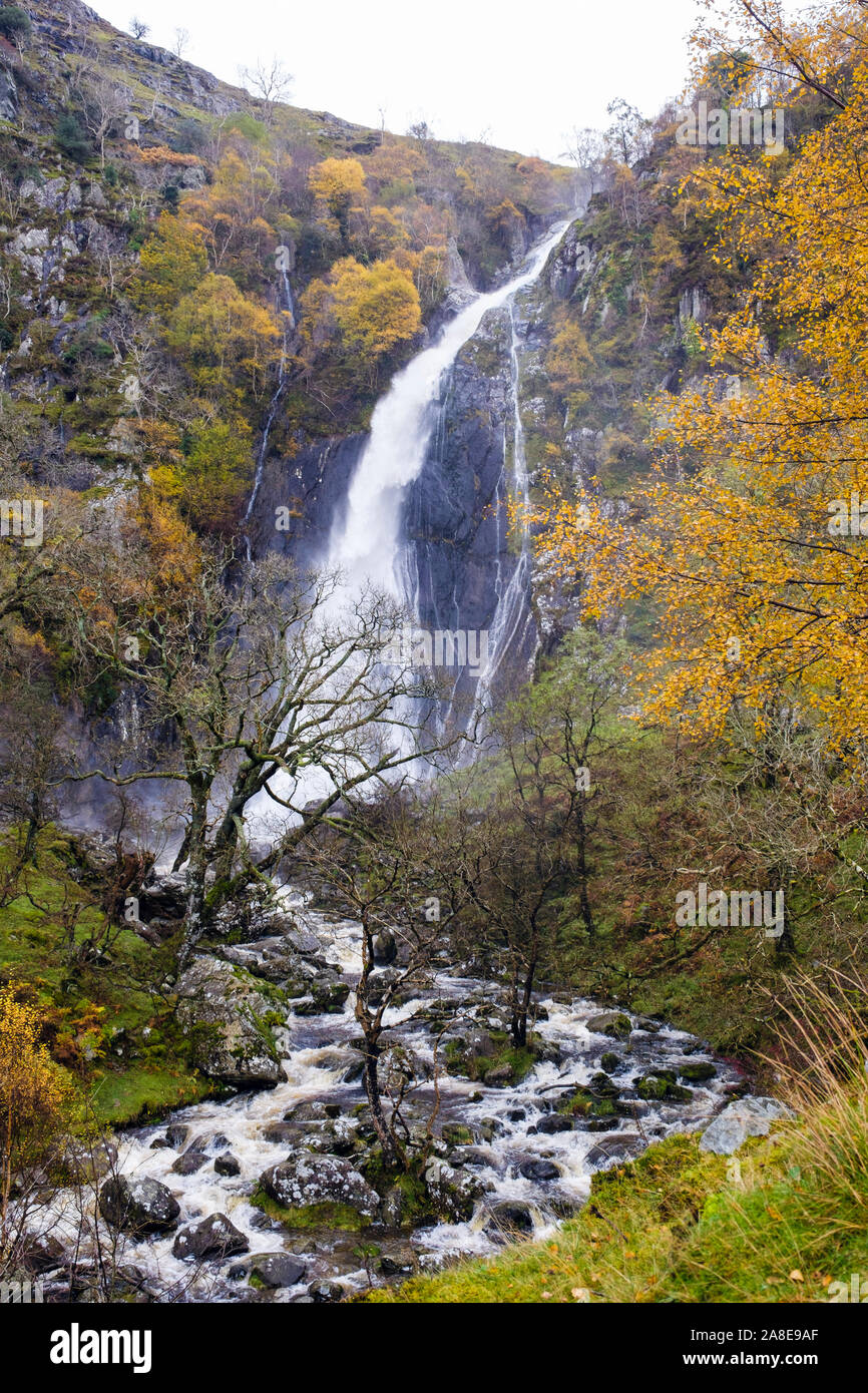 I colori autunnali a Aber Falls (Rhaeadr Fawr) cascata in Coedydd Aber riserva naturale nazionale nel Parco Nazionale di Snowdonia. Abergwyngregyn Gwynedd in Galles Foto Stock