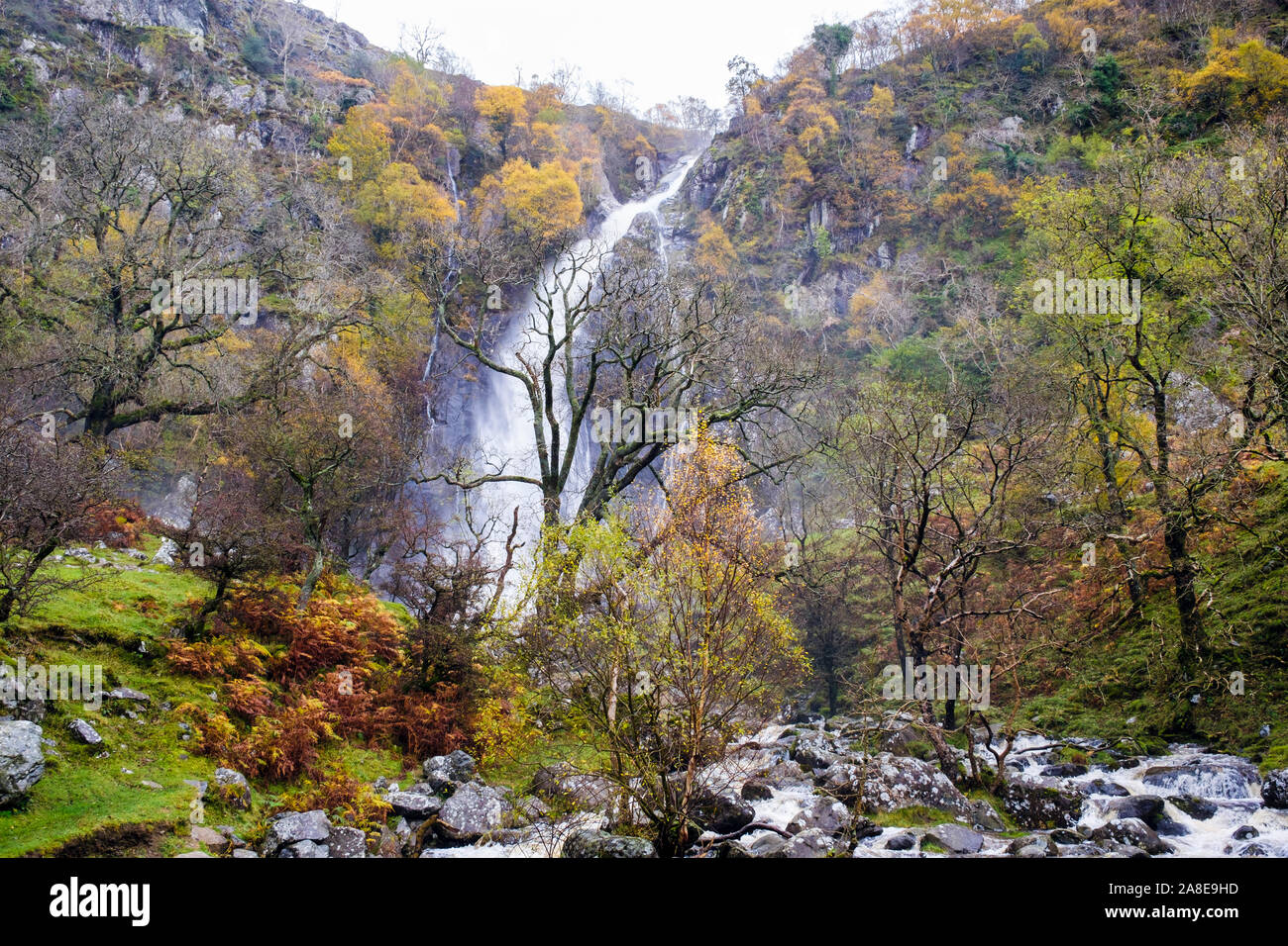I colori autunnali a Aber Falls (Rhaeadr Fawr) cascata in Coedydd Aber riserva naturale nazionale nel Parco Nazionale di Snowdonia. Abergwyngregyn Gwynedd in Galles Foto Stock