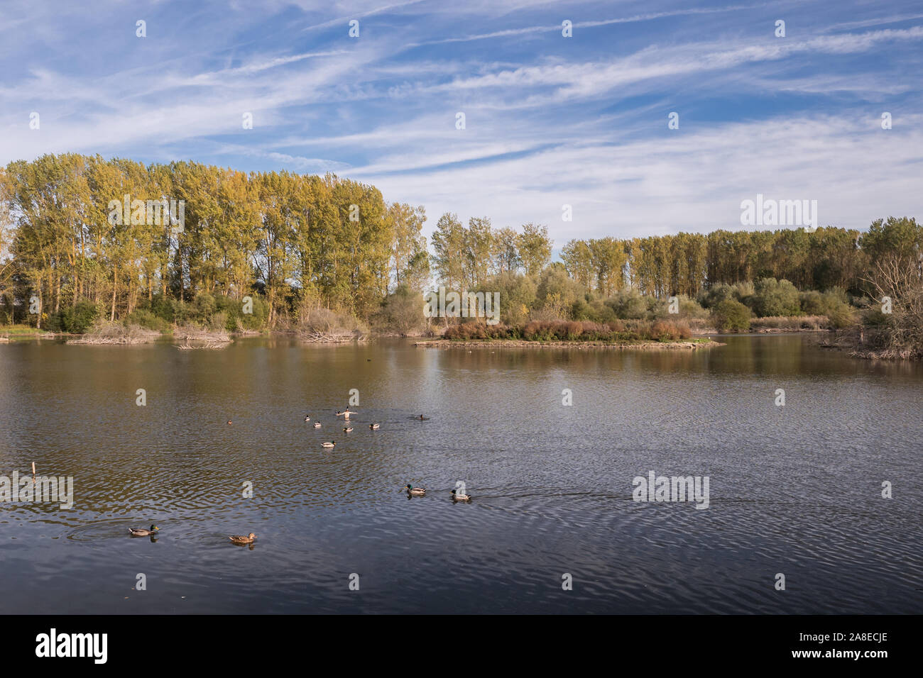 Atmosfera serale al Salburua wetlands, Vitoria-Gasteiz, Paesi Baschi Foto Stock