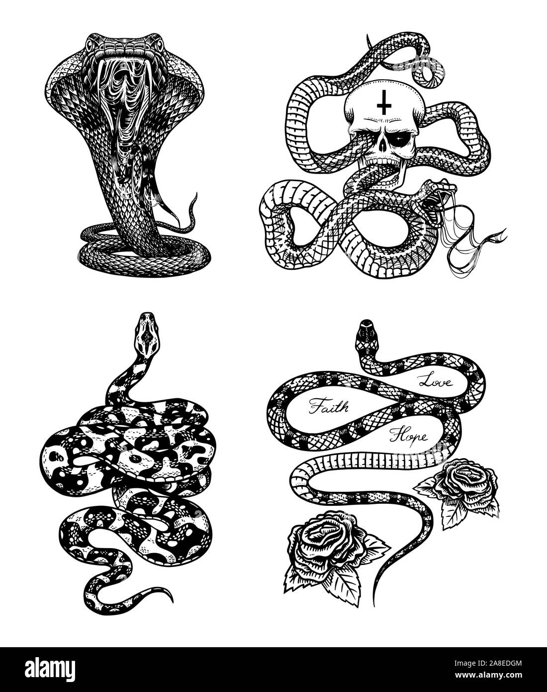 Vintage snake set. Royal python con il cranio e le rose, latte rettile, cobra velenosi. Vipera velenosa per poster o un tatuaggio. Incisi disegnati a mano il vecchio Illustrazione Vettoriale