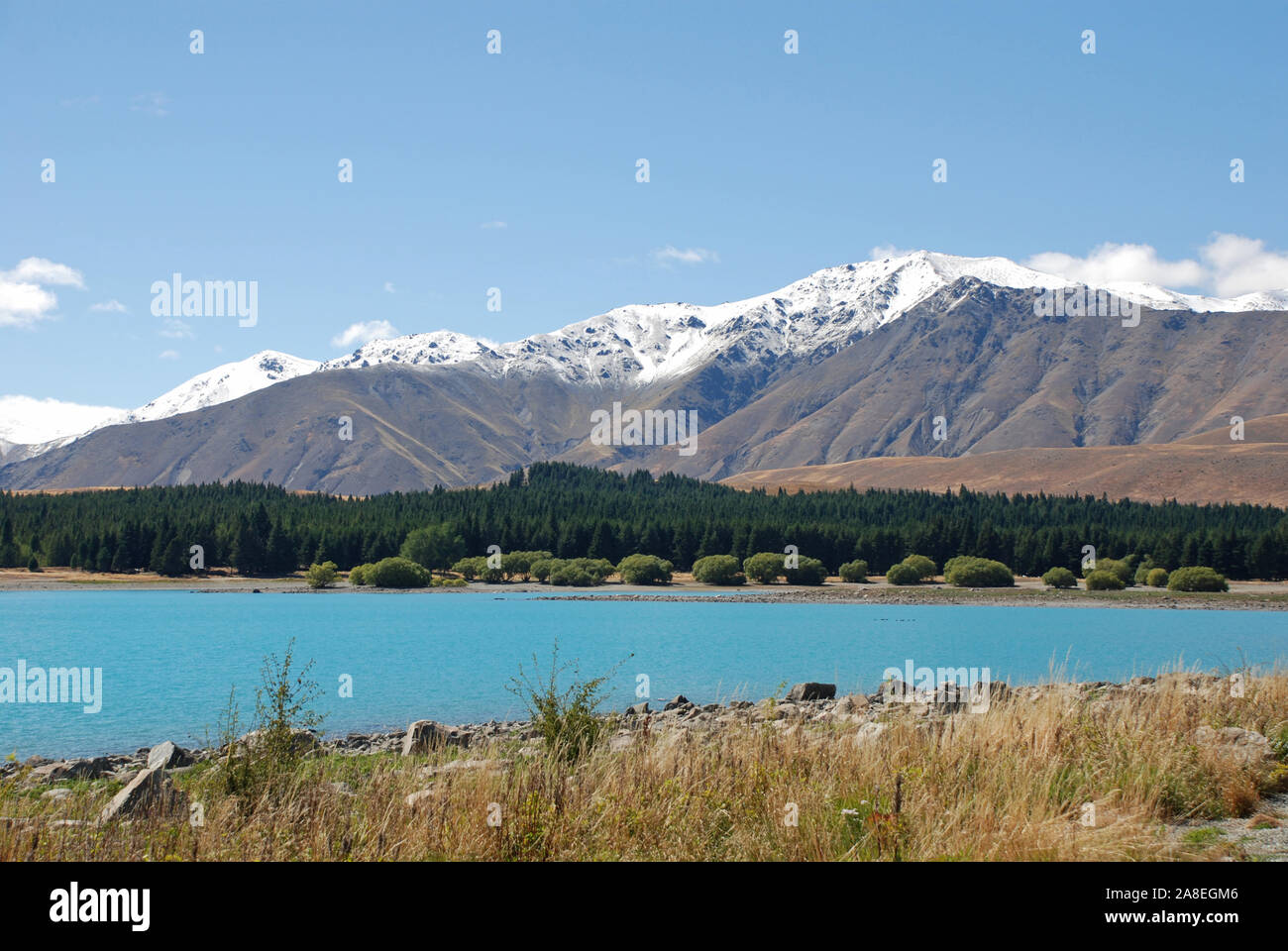 Lago Tekapo, Isola del Sud, Nuova Zelanda Foto Stock