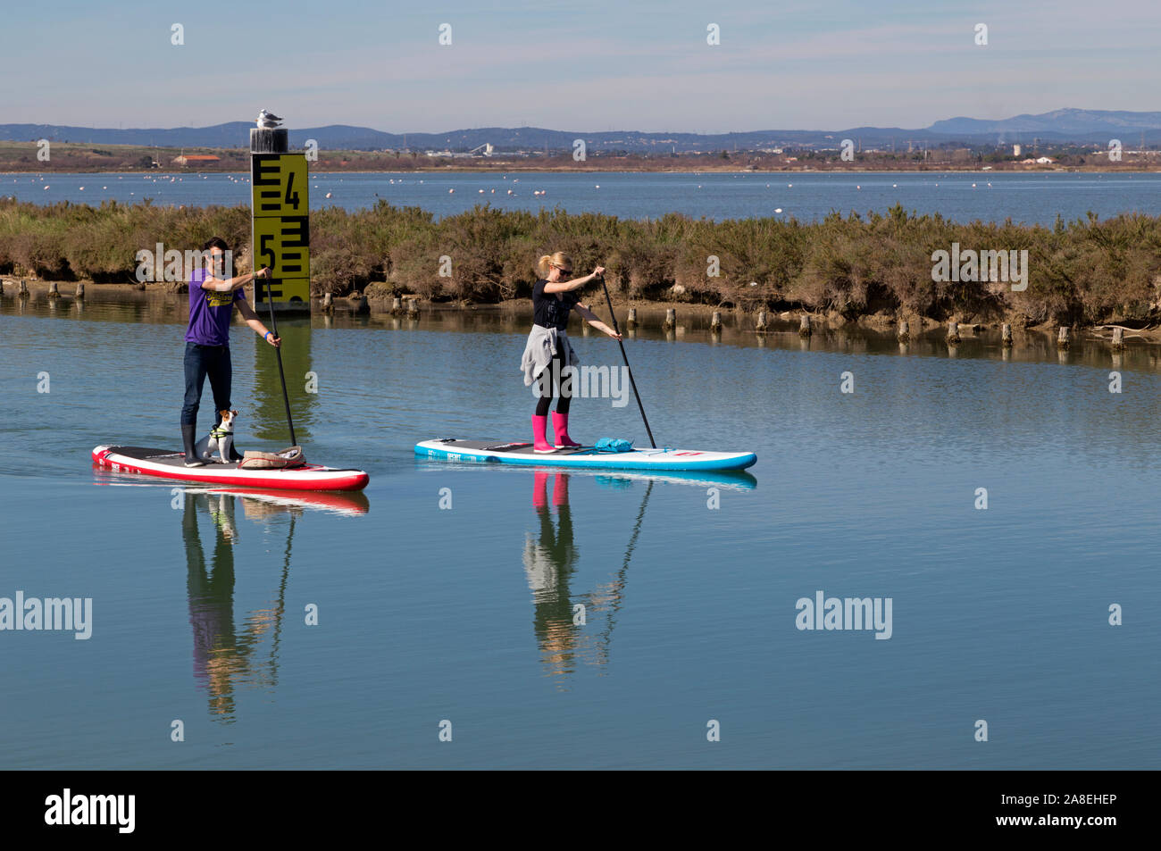 Stand Up Paddle pratica sul Canal du Rhone a Sete, Palavas-les-Flots, Occitanie Francia Foto Stock