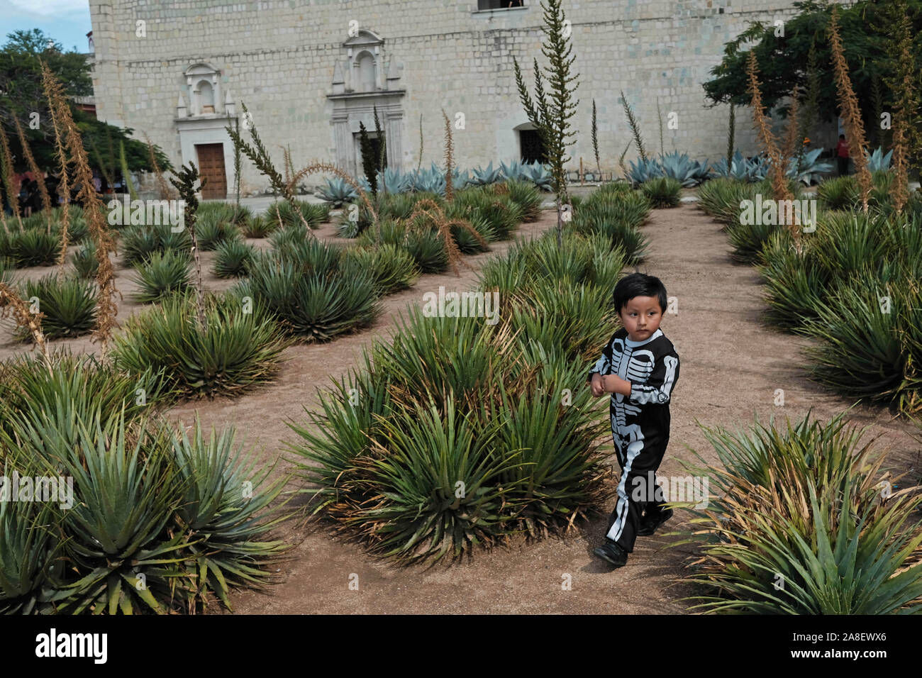 Oaxaca, Oaxaca, Messico. 29 ott 2019. Il giorno dei morti in festa a Oaxaca. Dia de Muertas è una festa celebrata in tutto il Messico ma è più noto per la sua origine in Oaxaca. Per tre giorni le famiglie messicane si riuniscono per ricordare i parenti e gli amici che sono morti e di pregare per i defunti. Tuttavia non è un momento di tristezza ma piuttosto un momento di festa per onorare i morti . Si vestono come scheletri e fantasmi per risvegliare i morti e consentire loro spiriti per festeggiare insieme. Sul consecutivi di giorni di vacanza di tutti i Santi e la Commemorazione di tutti i defunti famiglie raccolgono presso i cimiteri dove th Foto Stock