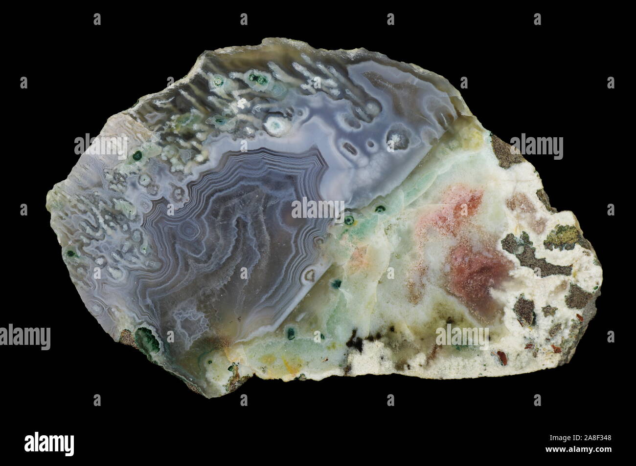 Agata, fotografia macro della superficie di taglio. Multicolore bande di silice colorata con ossidi metallici sono visibili. Origine: Rudno nei pressi di Cracovia, Polan Foto Stock