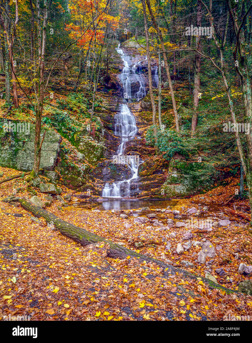 Buttrmilk cade in autunno, Delaware Water Gap National Recreation Area, New Jersey Foto Stock