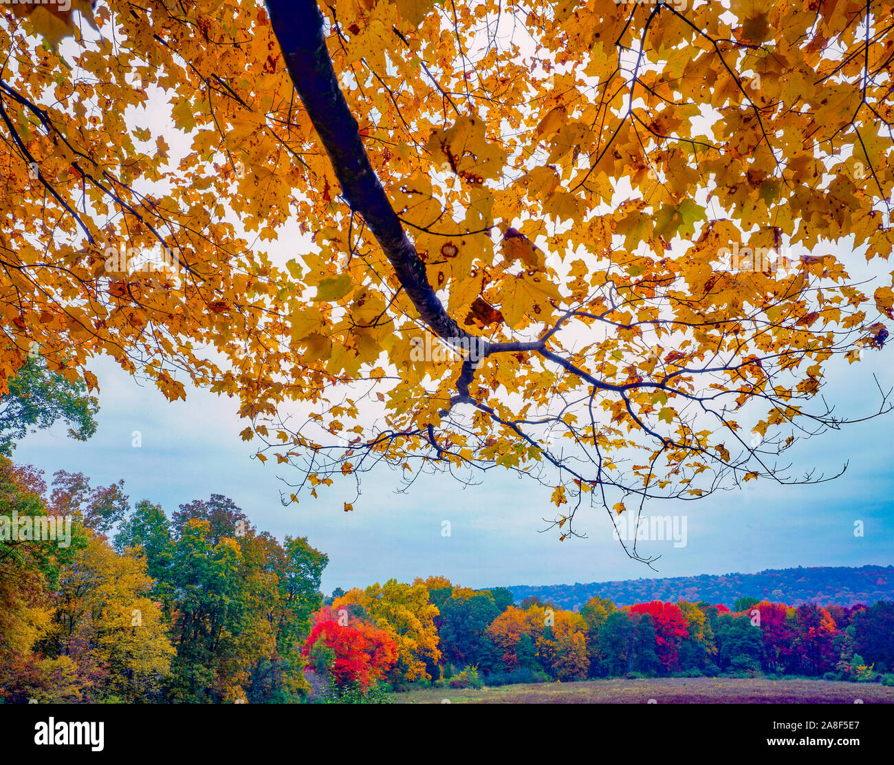 Autunno a colori, acqua Delawater Gap National Recreation Area, New Jersey, lungo il Fiume Delaware, Appalachian Mountians Foto Stock