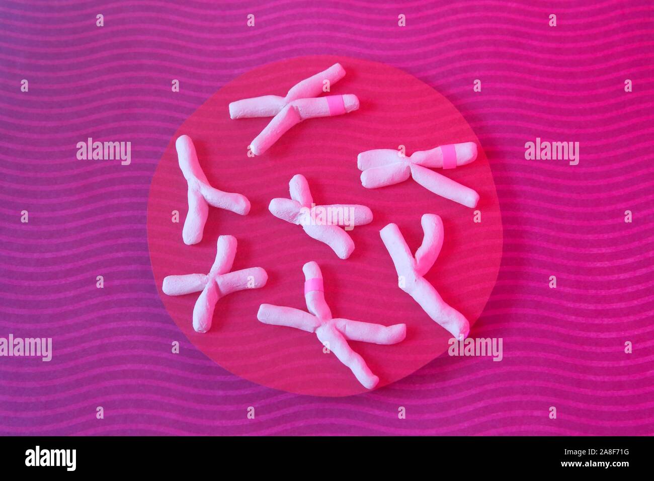 Anomalie Cromosomiche, immagine concettuale Foto Stock