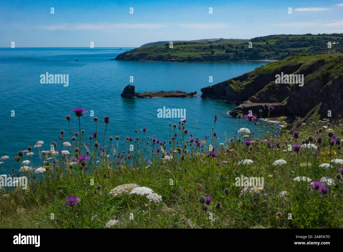 Brixham bellissimo paesaggio dal Berry Head Brixham Devon England guardando fuori ad un mare calmo Foto Stock