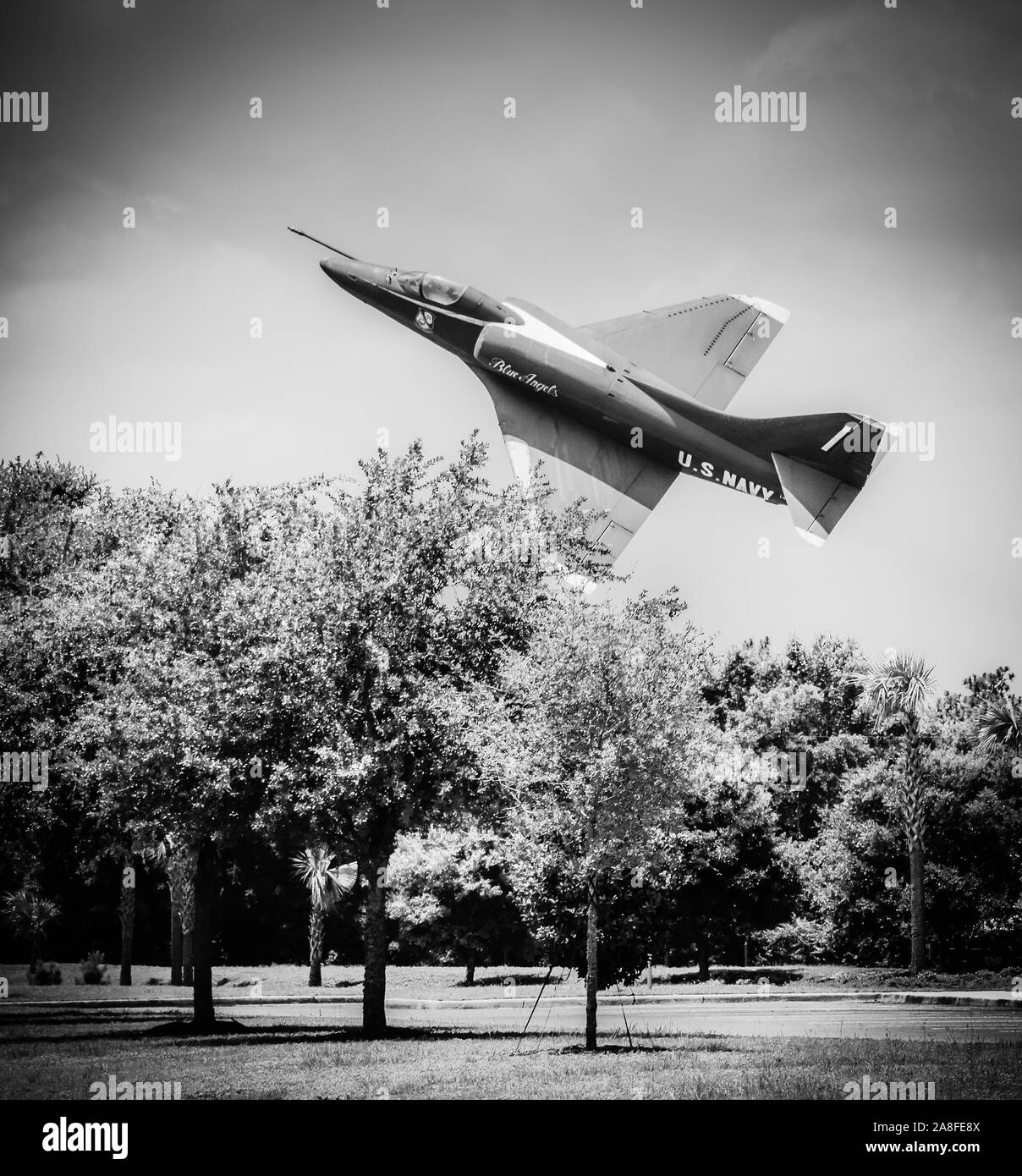 Un basso battenti vintage US Navy Blue Angels bancario aereo sopra le cime degli alberi negli Stati Uniti Foto Stock
