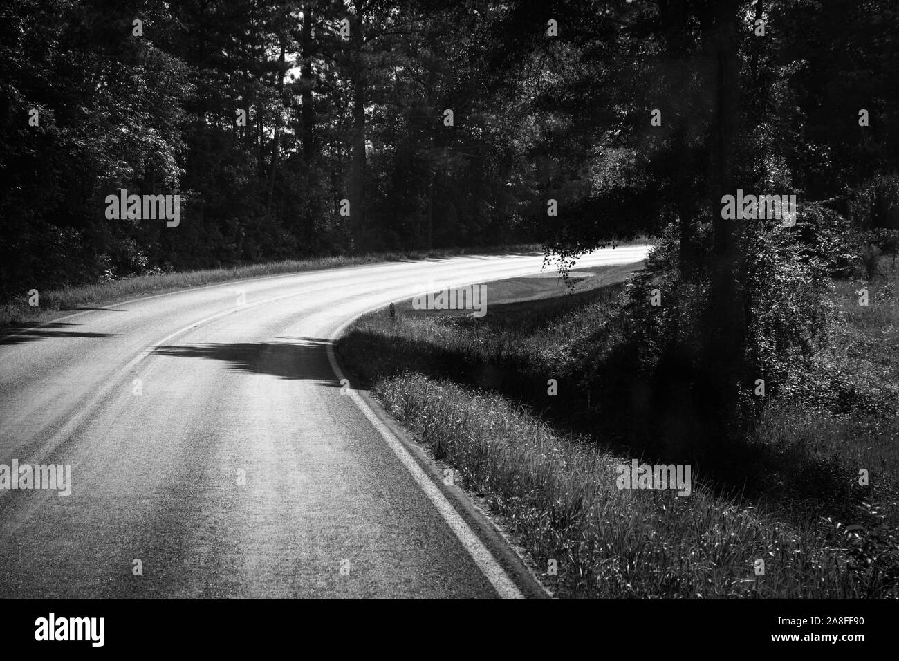 Una curvatura di asfalto vuota autostrada taglio attraverso una foresta di pini nelle zone rurali del sud del Mississippi, Stati Uniti d'America, in bianco e nero Foto Stock