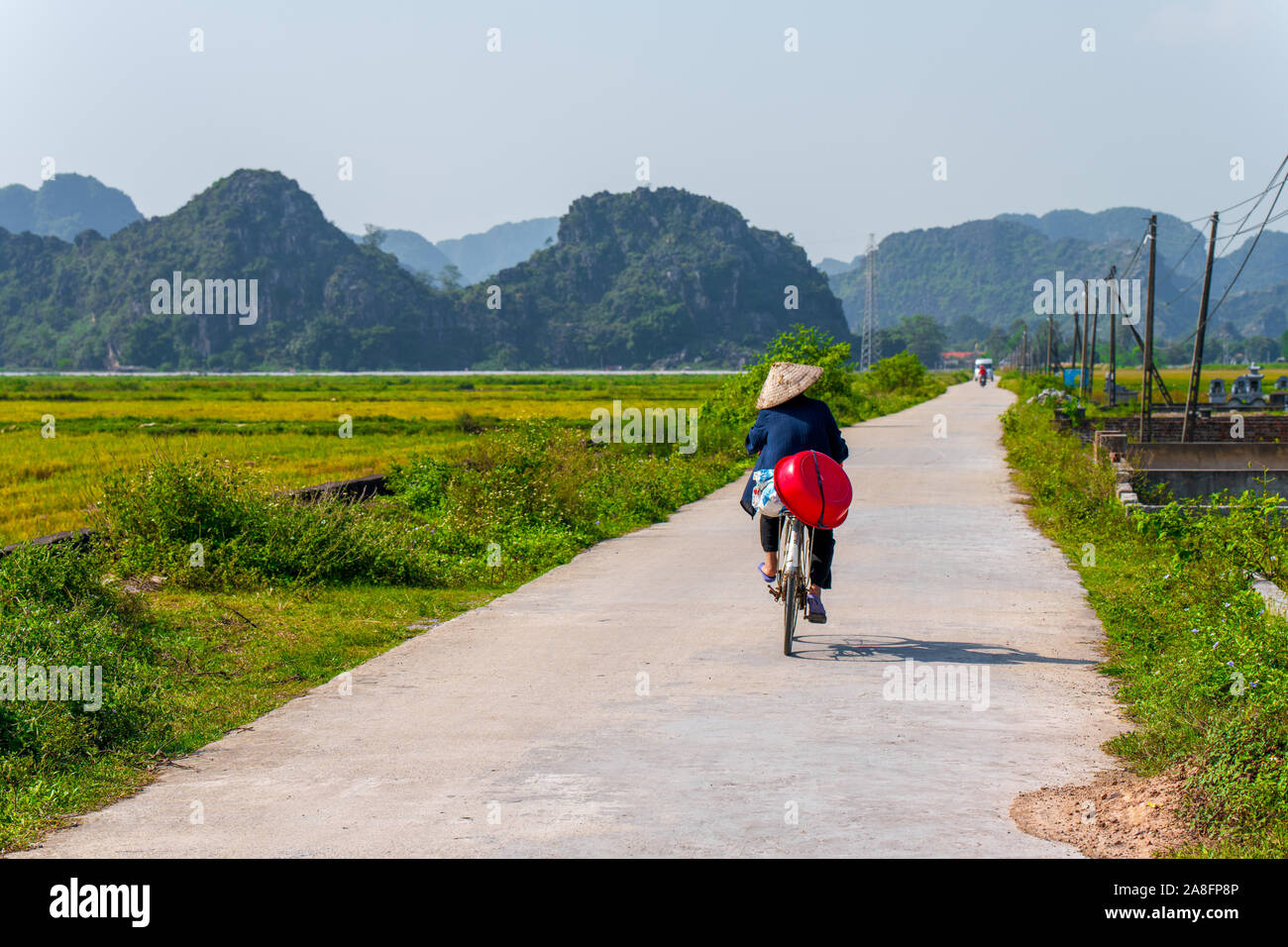 Un locale Tam Coc resident scorre lungo una piccola strada accanto a campi di riso e bei paesaggi di montagna in Ninh Binh, nel Vietnam del Nord - Autunno 2019 Foto Stock