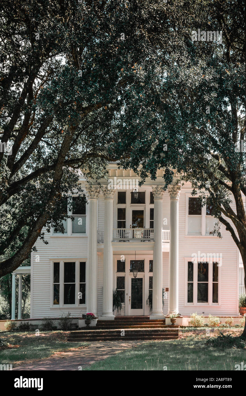 Un stile anteguerra casa di design neoclassico evidenziata da colonne corinzie e grandi alberi di quercia creando una tettoia ingresso in Hattiesburg MS Foto Stock