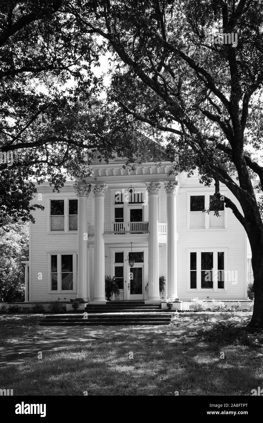 Un stile anteguerra casa di design neoclassico evidenziata da colonne corinzie e grandi alberi di quercia creando una tettoia ingresso in Hattiesburg MS Foto Stock