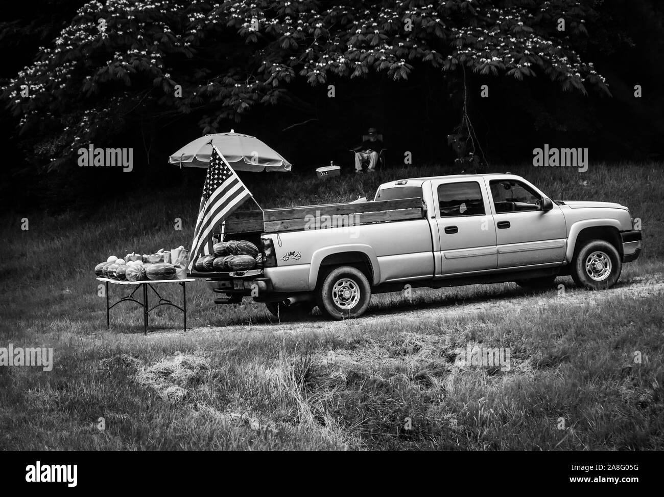 Una bandiera americana onde sopra un camion della sponda di cocomeri ombreggiata da una banchina di frutta stand uomo guarda su da sotto un albero di Mimosa nel sud della MS Foto Stock