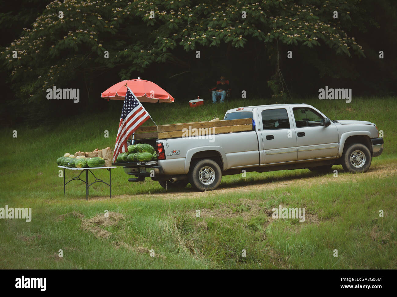 Una bandiera americana onde sopra un camion della sponda di cocomeri ombreggiata da una banchina di frutta stand uomo guarda su da sotto un albero di Mimosa nel sud della MS Foto Stock