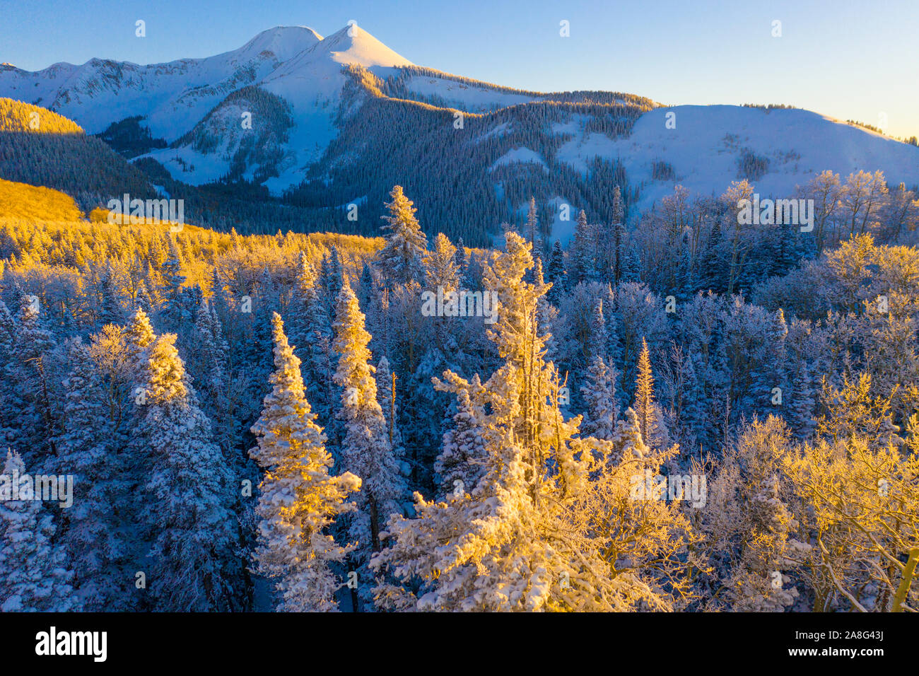 Foresta smerigliato dopo la neve pesante, La Sal Mountains, Utah, Manti-La Sal National Forest, nei pressi di Moab Manti-La Sal National Forest, nei pressi di Moab Foto Stock