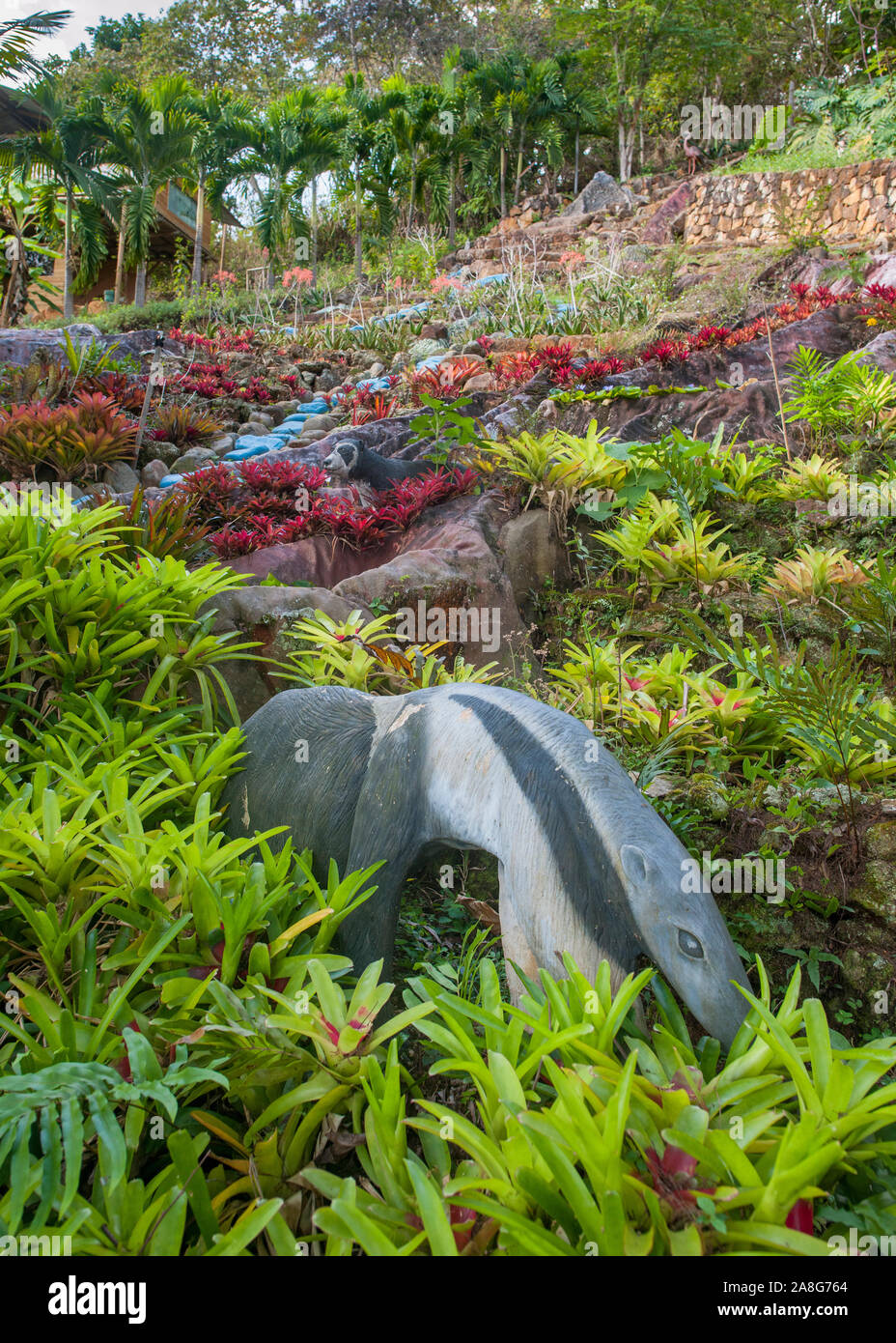Il giardino all'Andoke Mariposario Santuario della Farfalle vicino a Cali, Colombia. Foto Stock