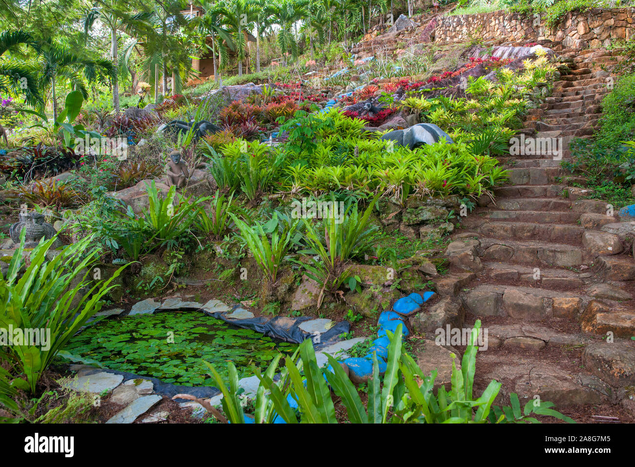 Il giardino all'Andoke Mariposario Santuario della Farfalle vicino a Cali, Colombia. Foto Stock