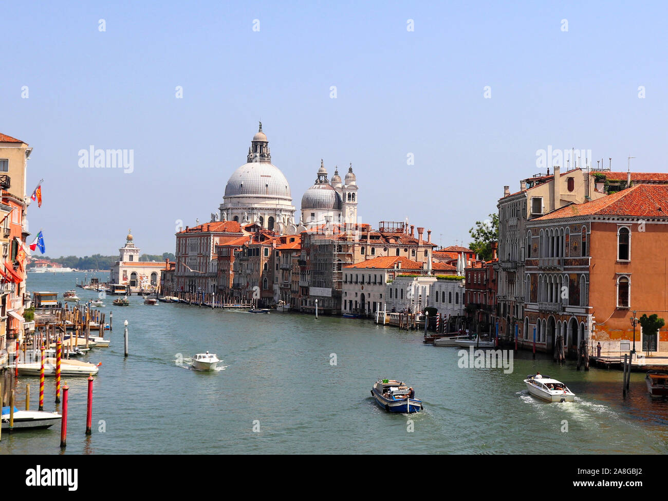 Canal Grande e la Basilica di Santa Maria della Salute dal ponte dell'Accademia d'estate. Venezia, Italia. Foto Stock