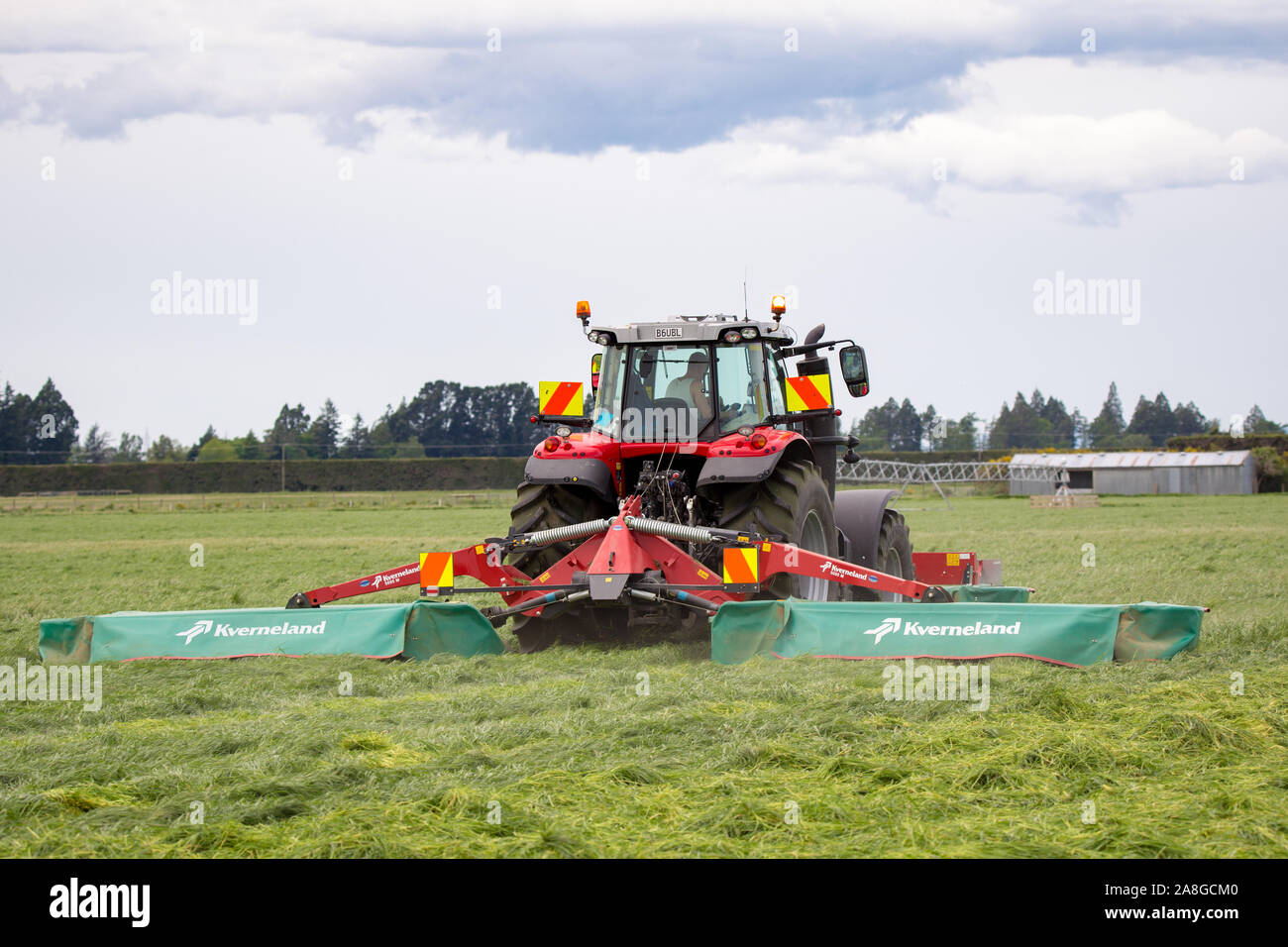 Canterbury, Nuova Zelanda, 9 Novembre 2019: un trattore Massey Ferguson e Kverneland tosaerba per taglio di erba per insilati su una fattoria rurale Foto Stock